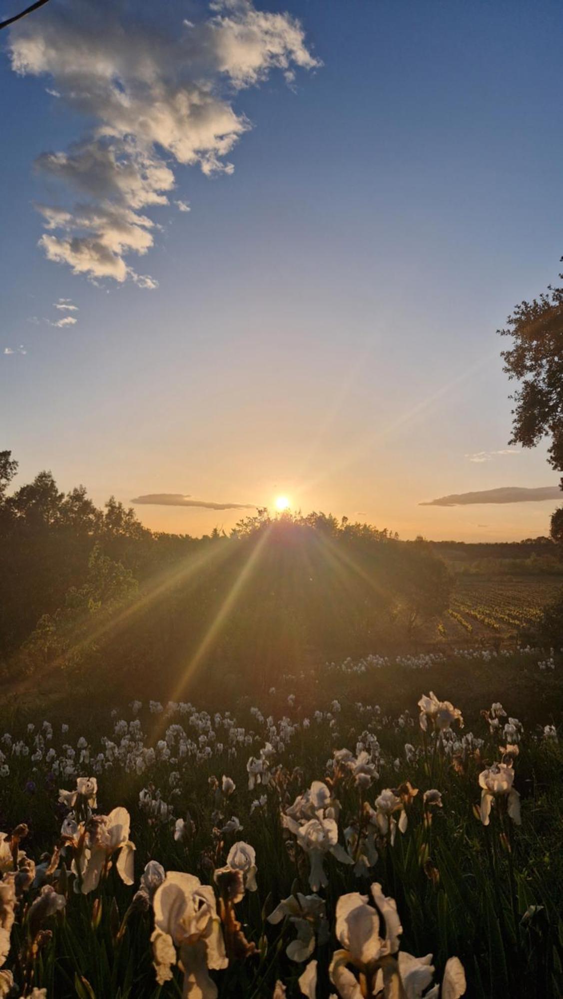 Masqueyras Villa Вакерас Екстериор снимка